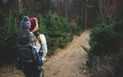 Keeping the step count high: autumn walk ideas